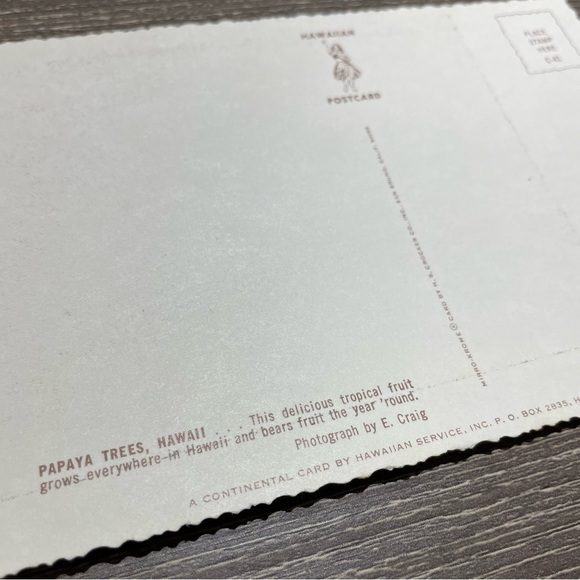 VINTAGE HAWAIIAN POST CARDS Papaya Trees Pineapple Field Bundle Of 2ea - Picture 4 of 7